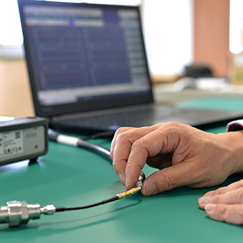 ギャラリー写真